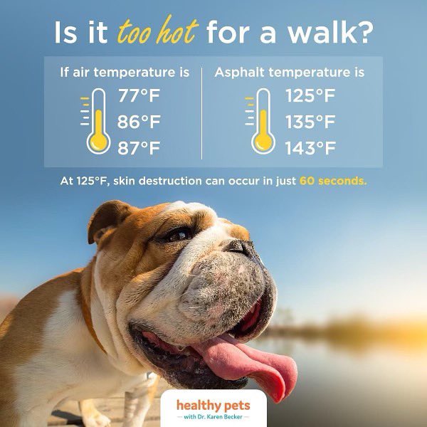SunriverPD's tweet image. As we face extremely high heat, be mindful of how it can affect your pets. Visit Sunriverpd.org and view our home page with our latest Facebook post. Have a great weekend and stay safe!