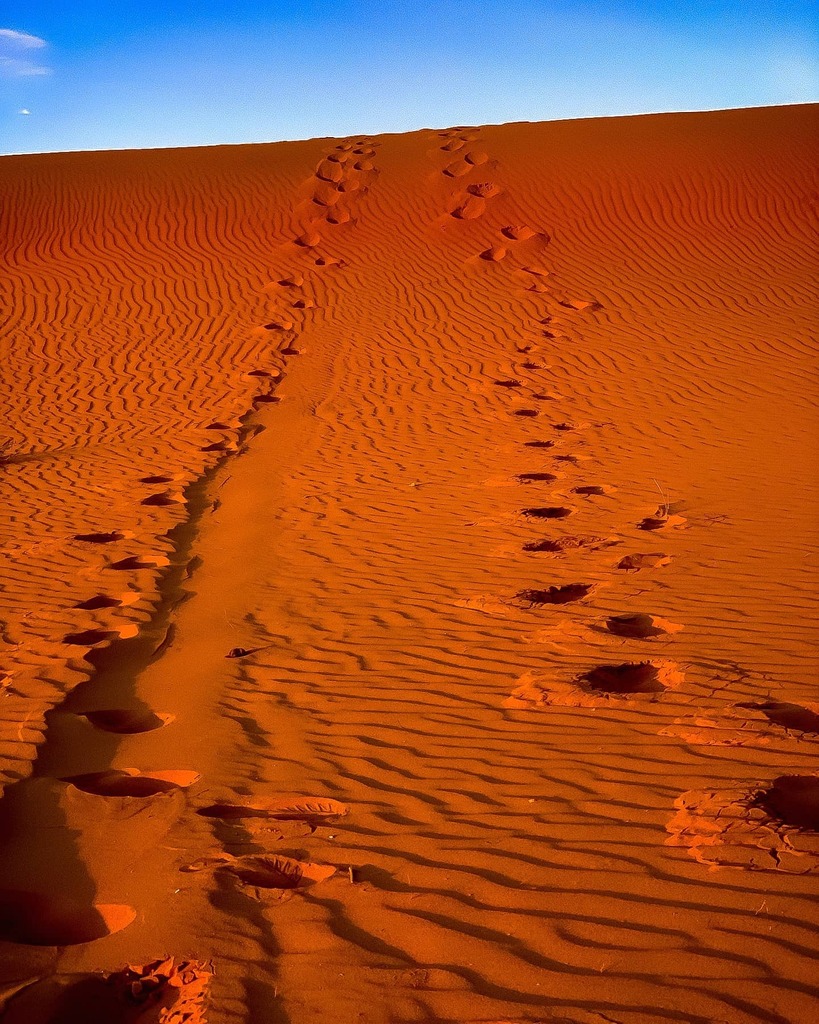 JustTendai's tweet photo. May we make many footprints in the sand, side by side in many, many places. I am forever grateful for you soulie @madam_attorney. โค
#TeMphoLifestyle
#TeMphoTravelDiaries
#TeMpho
#travelgram
#mytravelgram
#travelnoire
#blacktravel
#takemeback
#photogโฆ https://t.co/oooICYizKI https://t.co/aOCig9QneD