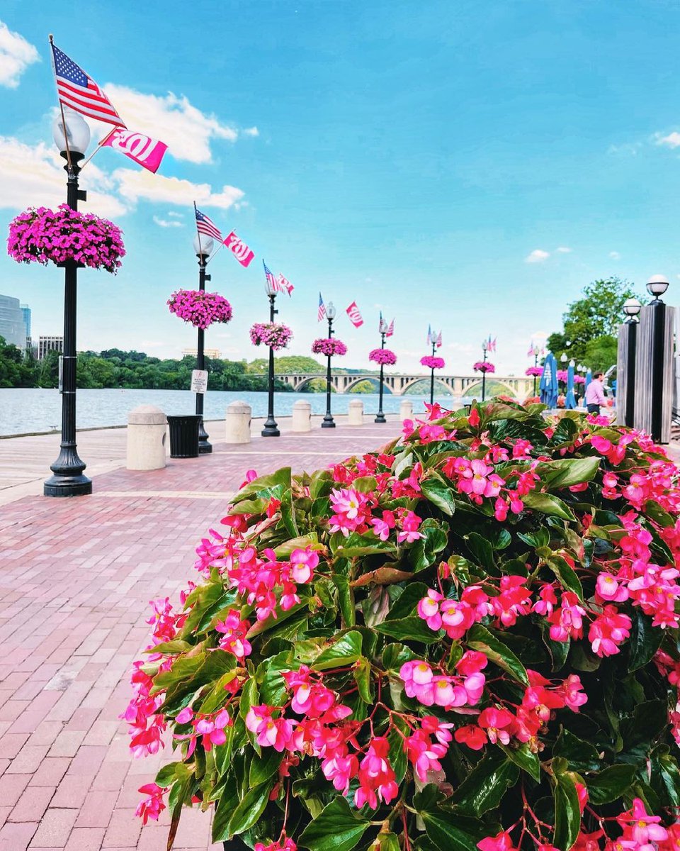 georgetowndc's tweet photo. Outdoor dining, river cruises, kayak rentals & more, the Georgetown waterfront is waiting for your next #UnexpecteDC adventure this weekend!
via @dccitygirl_ https://t.co/XQYBw0ssFb