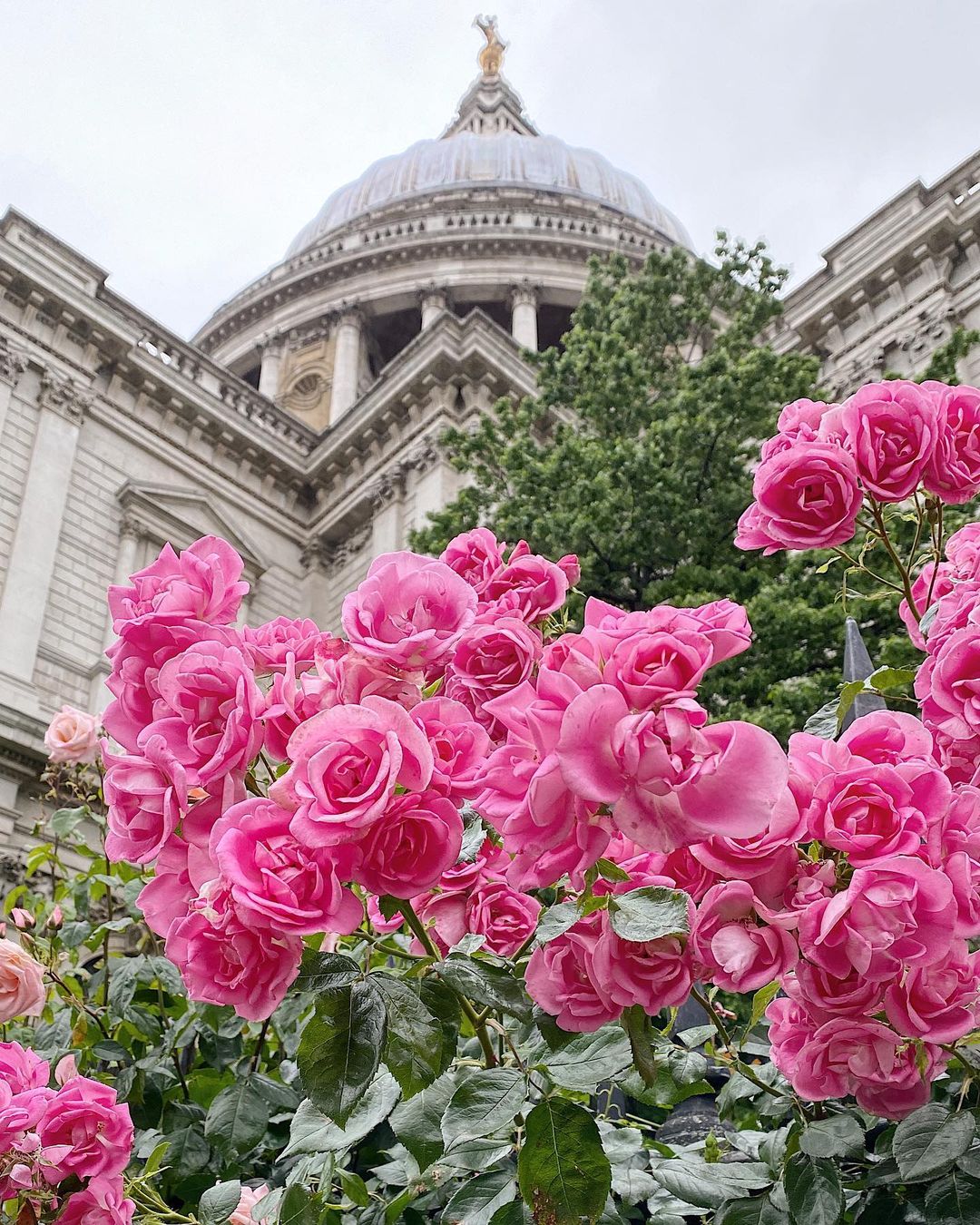 Visit London on Twitter: