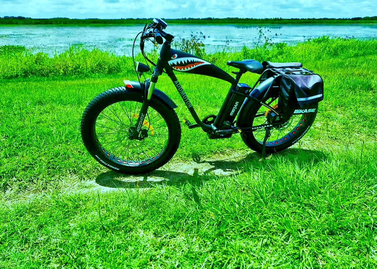 WhizCycle tweet media