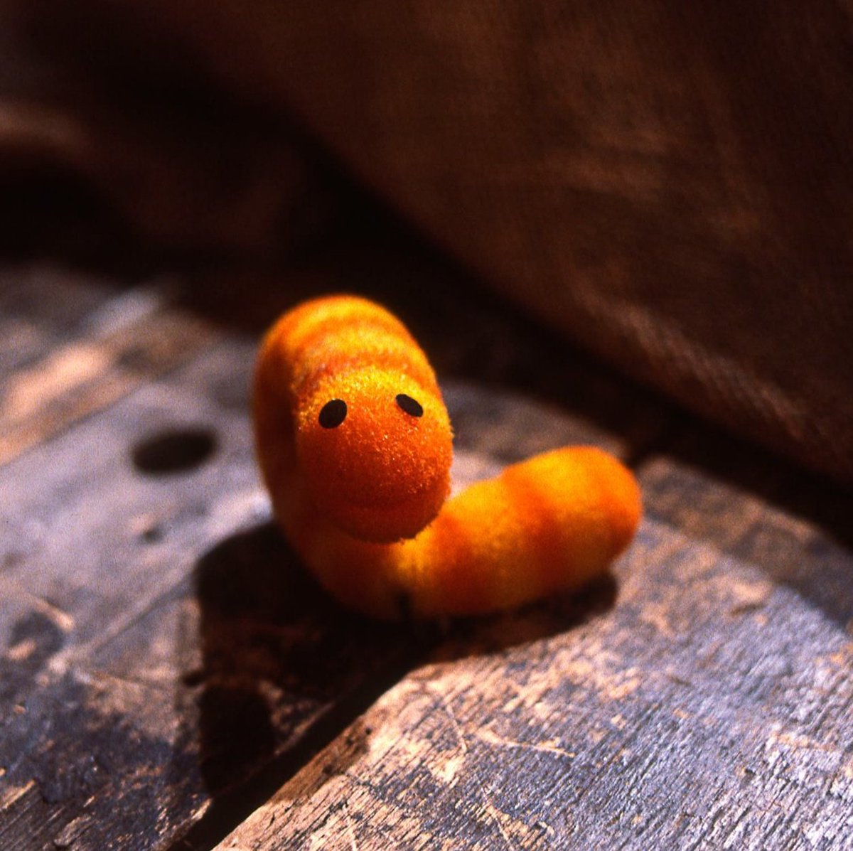 LilDudesDaily's tweet photo. today's little dude of the day is slimey from sesame street!! (he/him) https://t.co/aAnNCRdFqe