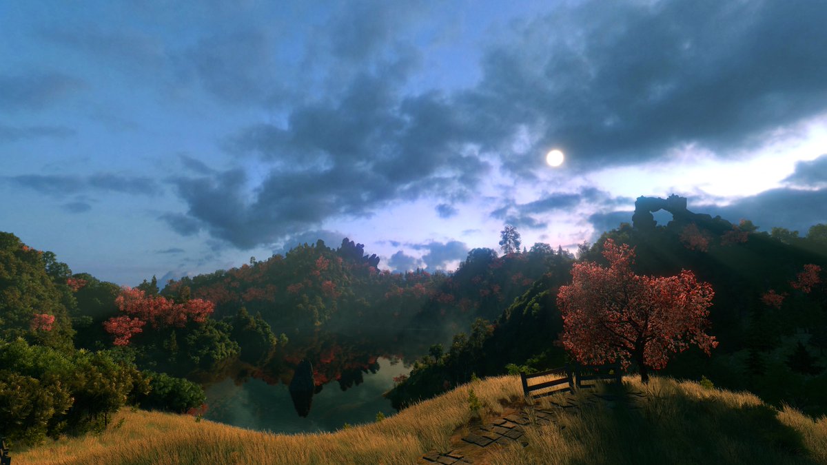 Since it's the steam summer sale I got #Flowscape. It's pretty cool. 
Here are a few things I made 😄
#VirtualPhotography #ZarnGaming #VPEclipse #WorldofVP