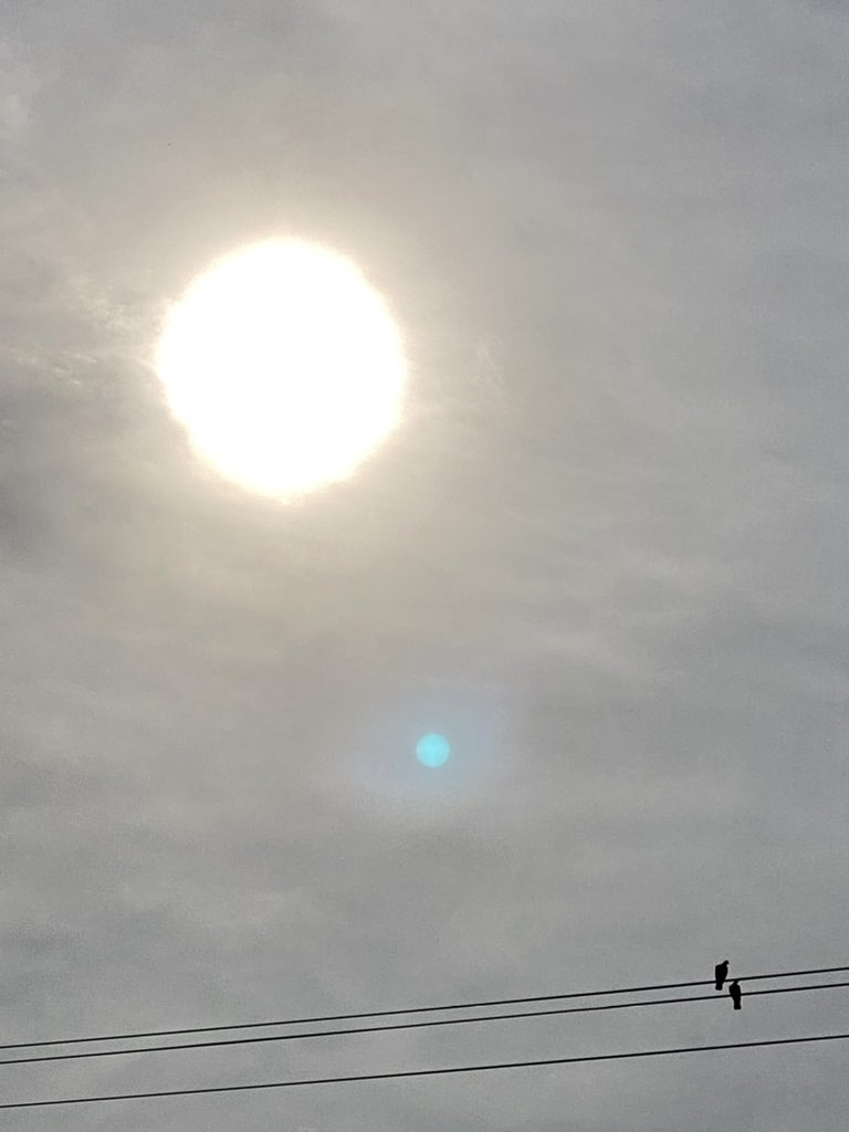 でっかい太陽 でっかい太陽