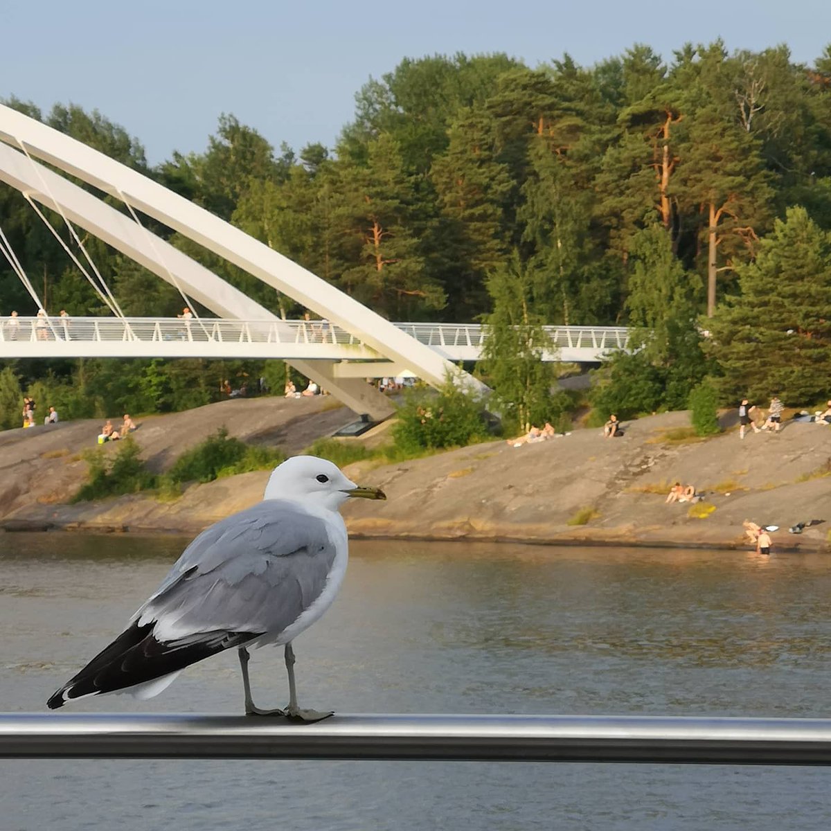 Some urban midsummer photos from the past couple of days #Juhannus #Midsummer #Kalasatama #MyHelsinki #Helsinki #Finland https://t.co/khUE1AL6Ro