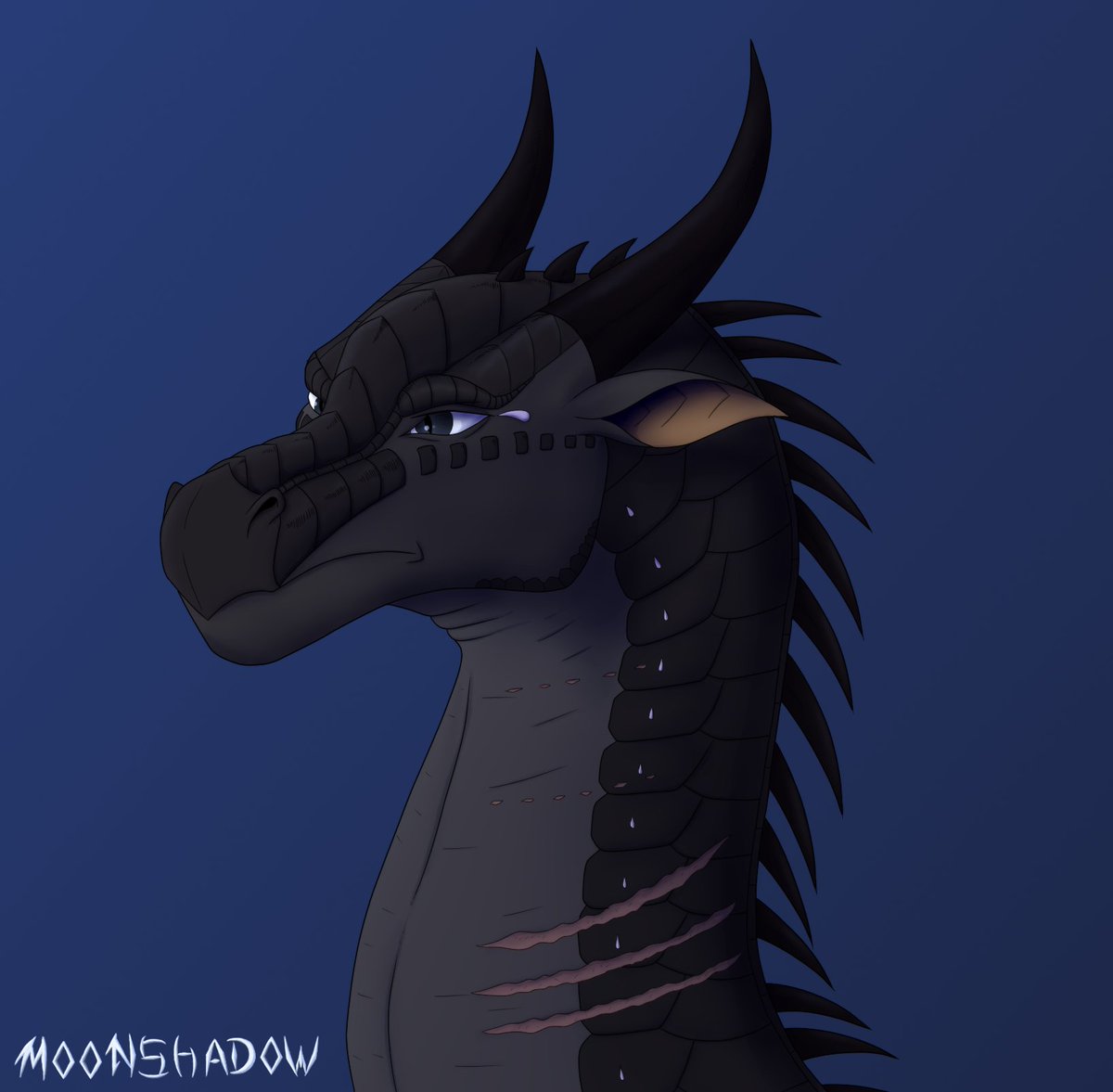 MoonShadowAsta1's tweet photo. #ArtistOnTwitter #WingsOfFire #wof #dragon #nightwing #Sandwing #comission 

Art for VK user, featuring three characters: Varanus the SandWing, Tormentor and Plunderer - the nightwings. https://t.co/3a13IRLg1A