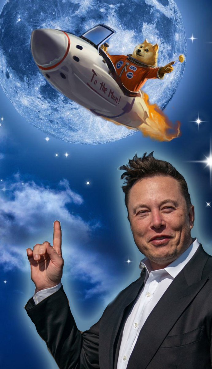 JeePurse's tweet photo. #ElonMusk #Doge #Shiba  He's at it again...not sure which one gets around more. https://t.co/nmm7ZeoxH1