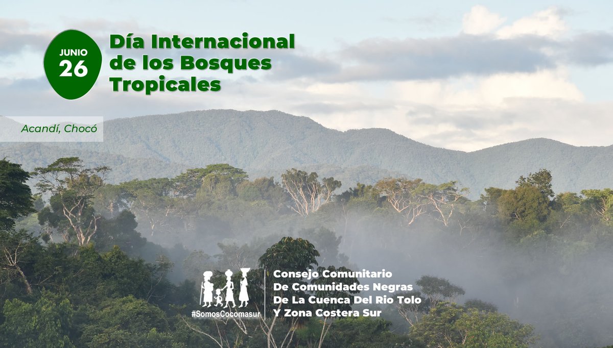 Cocomasur tweet media