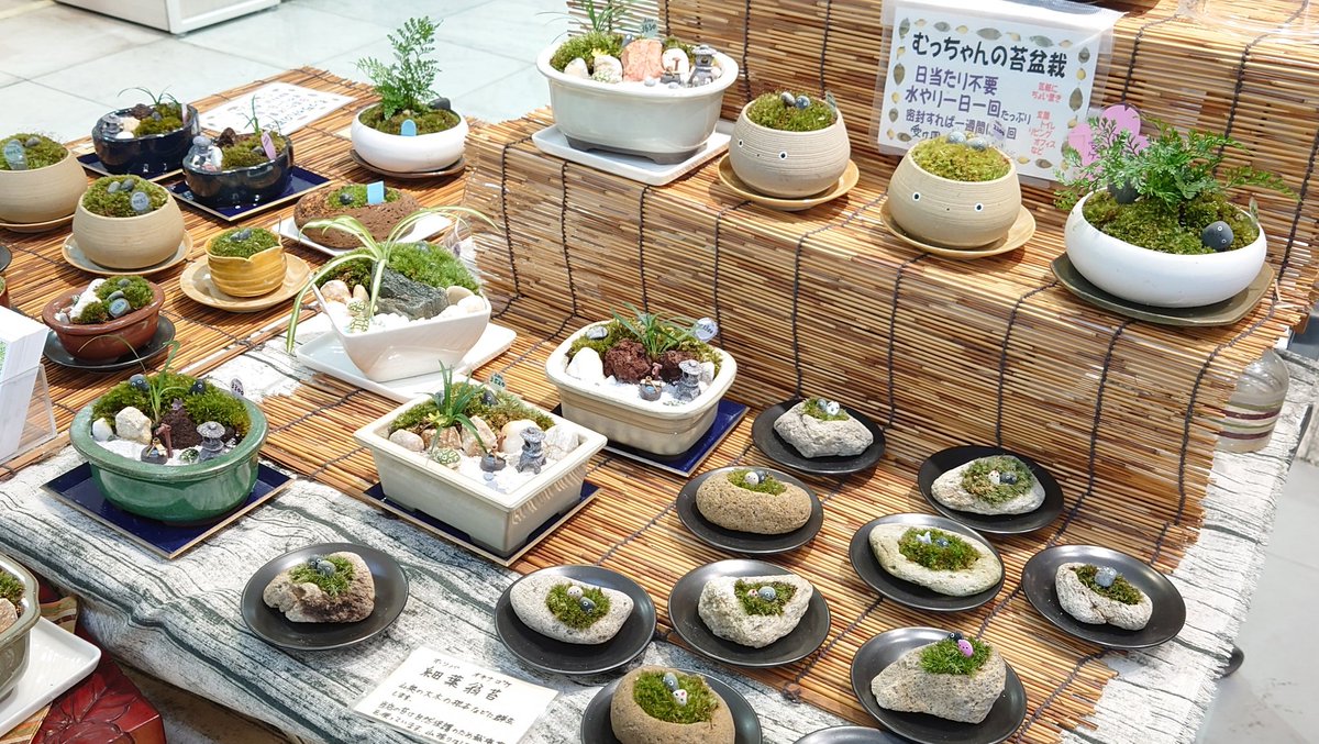 むっちゃん 無 静かに名古屋にいます クリエイターズマーケット出店中 ワークショップあります 7月3日は川崎 10日は新宿 17 18は光が丘行きます