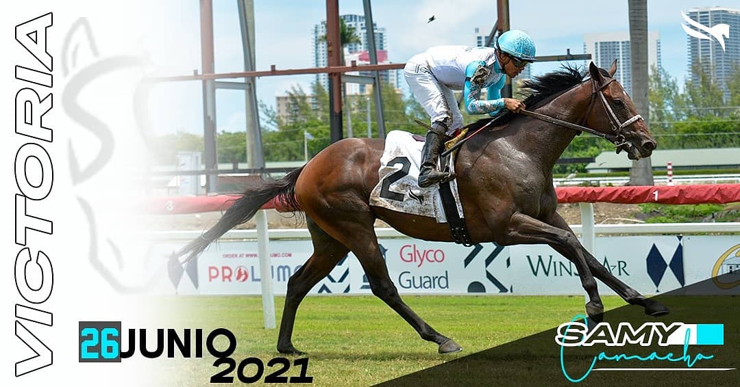 SamyCamacho1's tweet photo. #StakeWin en la 4ta carrera en @GulfstreamPark
π Fighting Force (KY)
βTrainer: Jeff Engler
βOwner: Lea Farms, LLC
Cc: @JFDAngelo
πΈ @artilespascualf
#TeamCamacho https://t.co/XBouqHuBw2