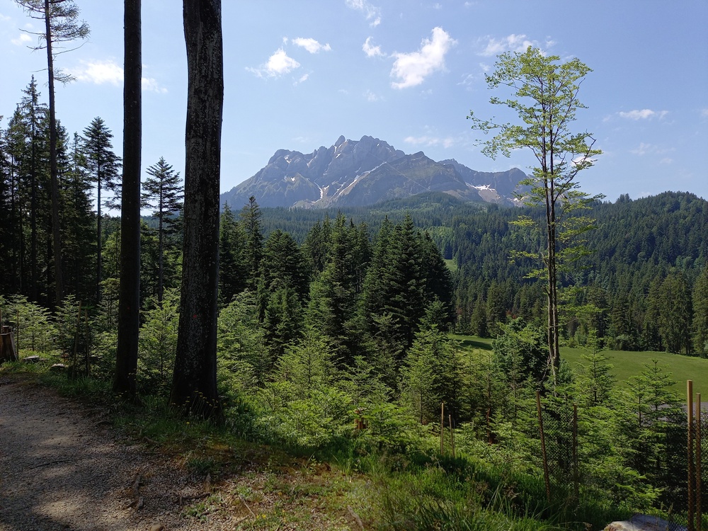 Fräkmüntegg am Pilatus - Schönenboden - Spielplatz und Mittelstation Krienseregg (- Obernau), Abwärtswanderung mit Aussicht
wandersite.ch/Tageswanderung…