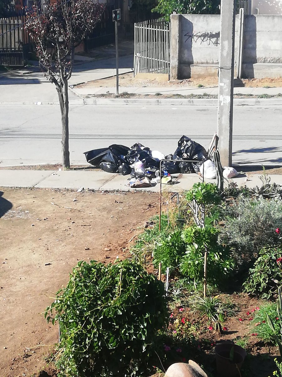 Freejalf's tweet photo. @soloenVAlemana así dejo ayer Viernes el servicio de aseo en Andromeda con las Hortencias, Pob. Mirador Sur. En resto del sector retiraron la basura. https://t.co/7yENniVFlC