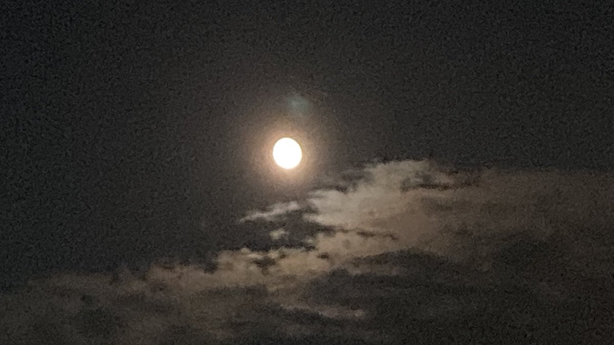 행복한 상상 (@sjskdnfldmltptk) on Twitter photo 