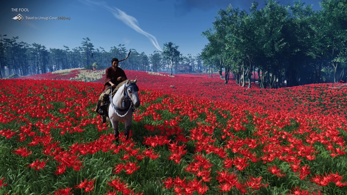 seedzone8 tweet picture