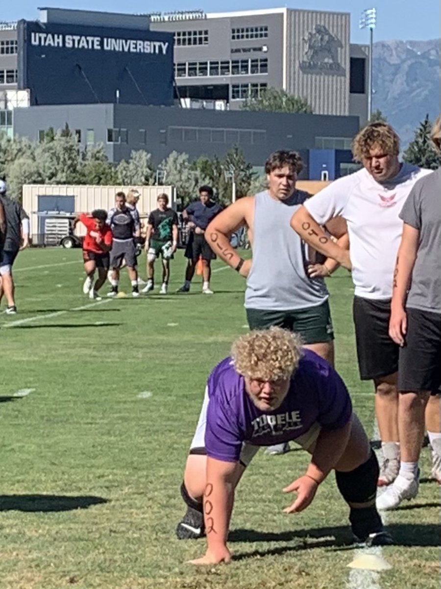 Matt sprouse tweet media