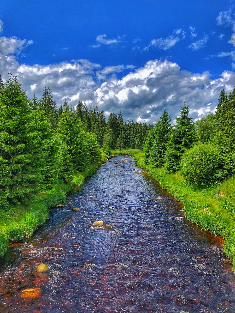 pilda_87's tweet photo. Trochu to naředím…#sumava #modrava https://t.co/H6p38EotM5