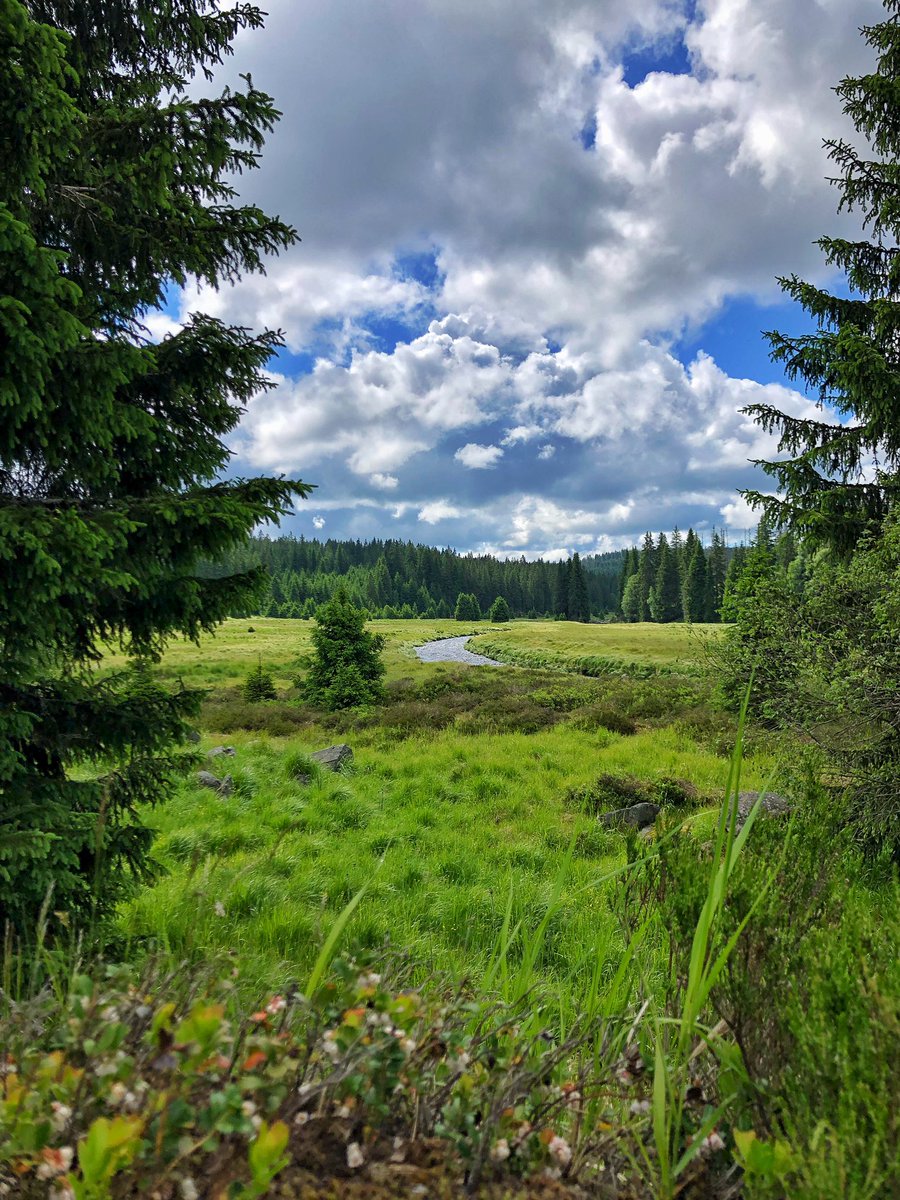 pilda_87's tweet photo. Trochu to naředím…#sumava #modrava https://t.co/H6p38EotM5