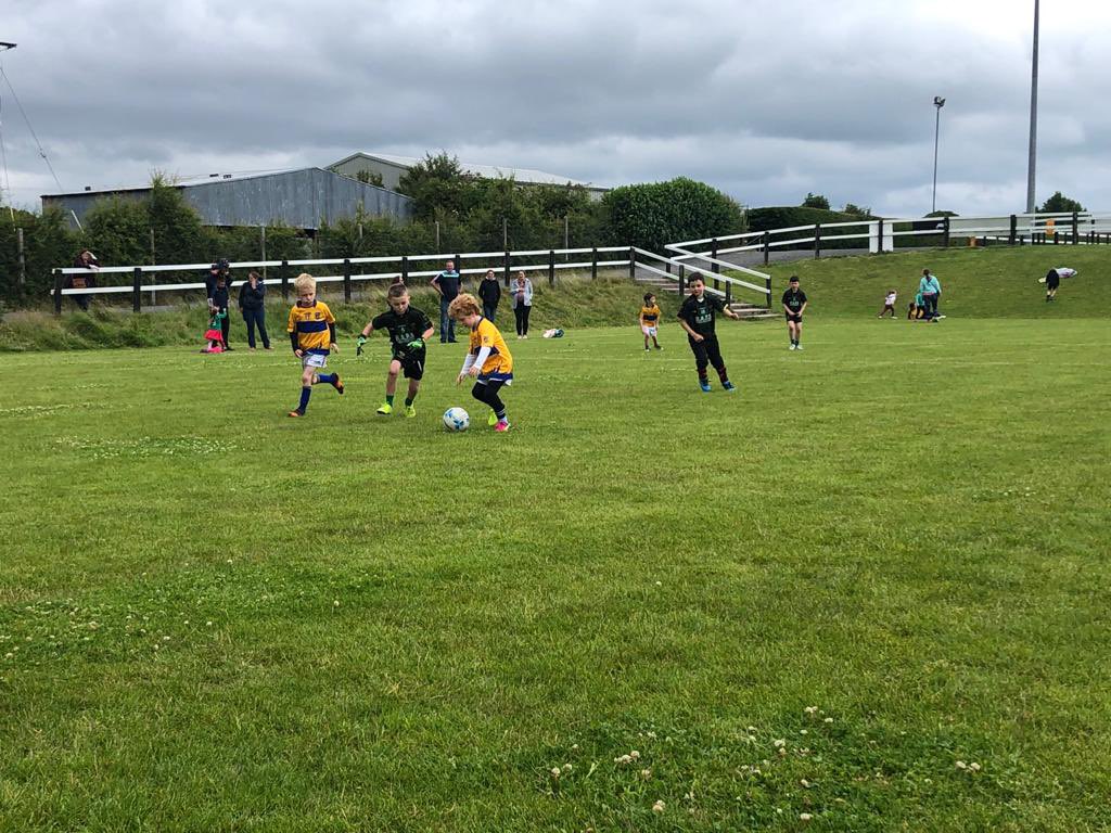 DuaneEnda's tweet photo. U7 boys team with great performance against Ballyna today. Most of the boys making their @RaheensGAA debut. https://t.co/9KyS71dfOX