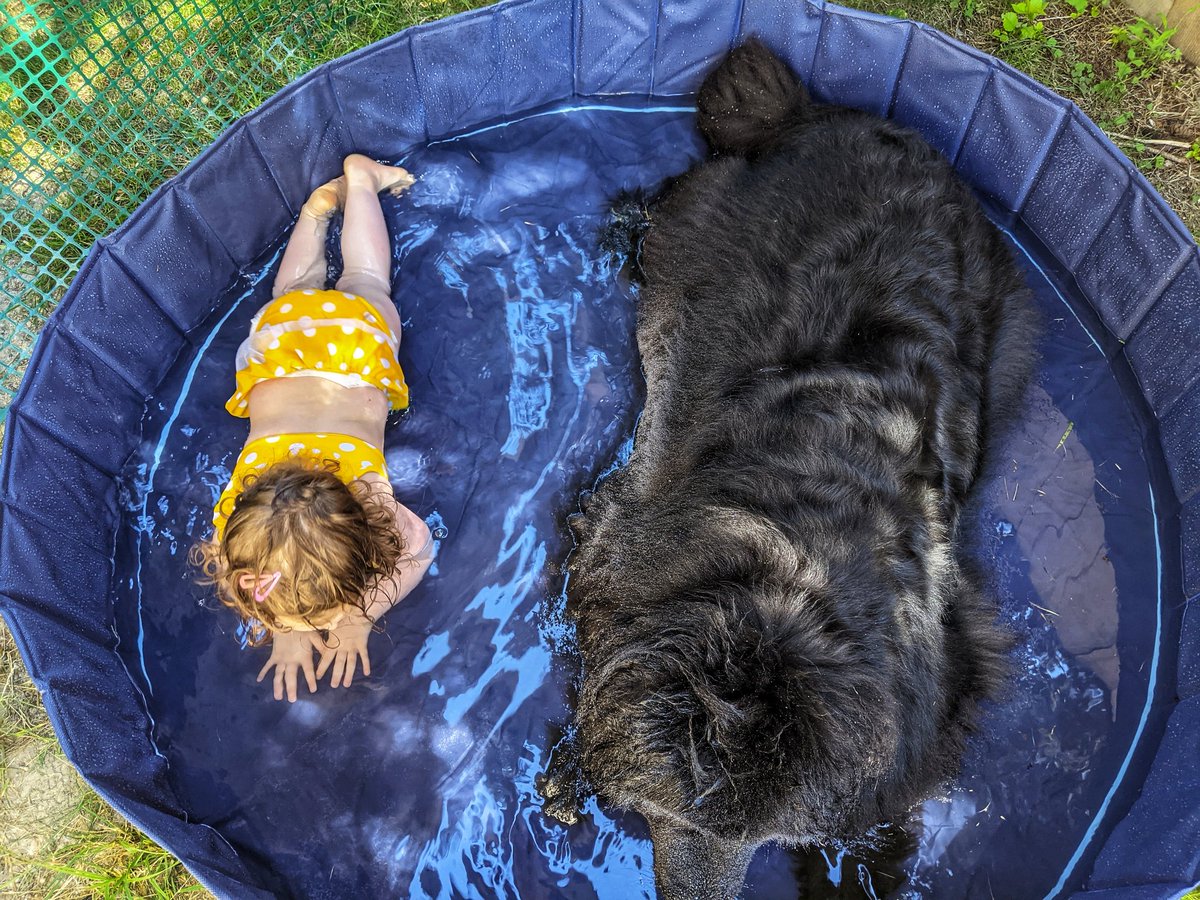 From_Farrah's tweet photo. If you need us, we'll be right here. #seattleheatwave #wawx https://t.co/w77oG4LqGj