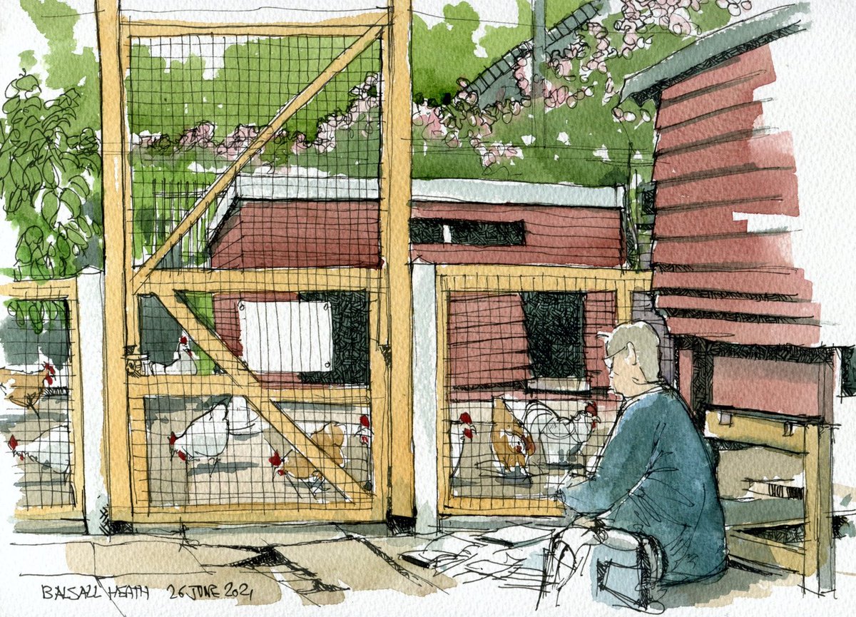 DelSale's tweet photo. Today's sketch is of chickens being sketched by a Birmingham Urban Sketcher at the Balsall Heath City Farm.

The viewpoint is at what3words location mice.towers.finely

#inkjune  #sketchaday https://t.co/AHZqVwTLX4