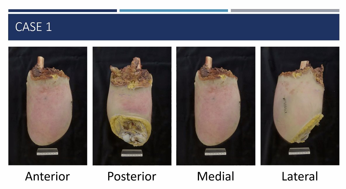 Emmanuelle Chung tweet media