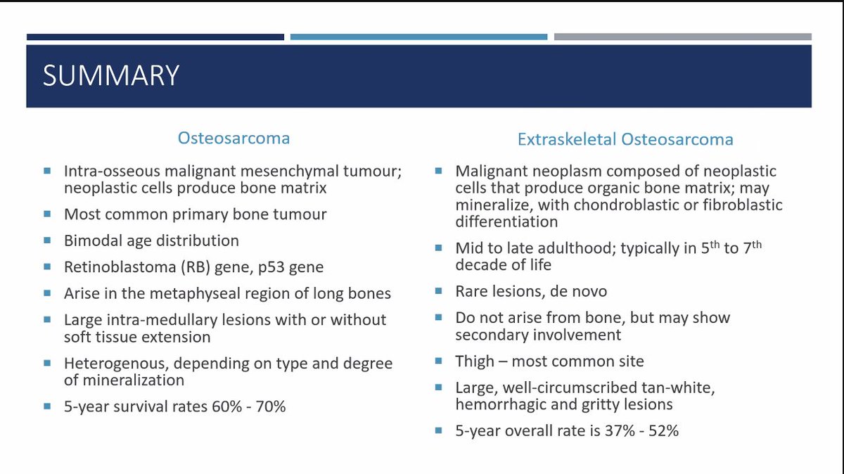 Emmanuelle Chung tweet media