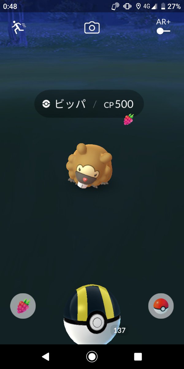 3号さんの隠れ里 色違いビッパと 威嚇したら 撃たれたビッパ Pokemongo ポケモンgo ビッパ ビッパ色違い ビッパとビッパ 3号さんの隠れ里 色違いビッパと 威嚇したら 撃たれたビッパ Pokemongo ポケモンgo ビッパ ビッパ色違い ビッパとビッパ