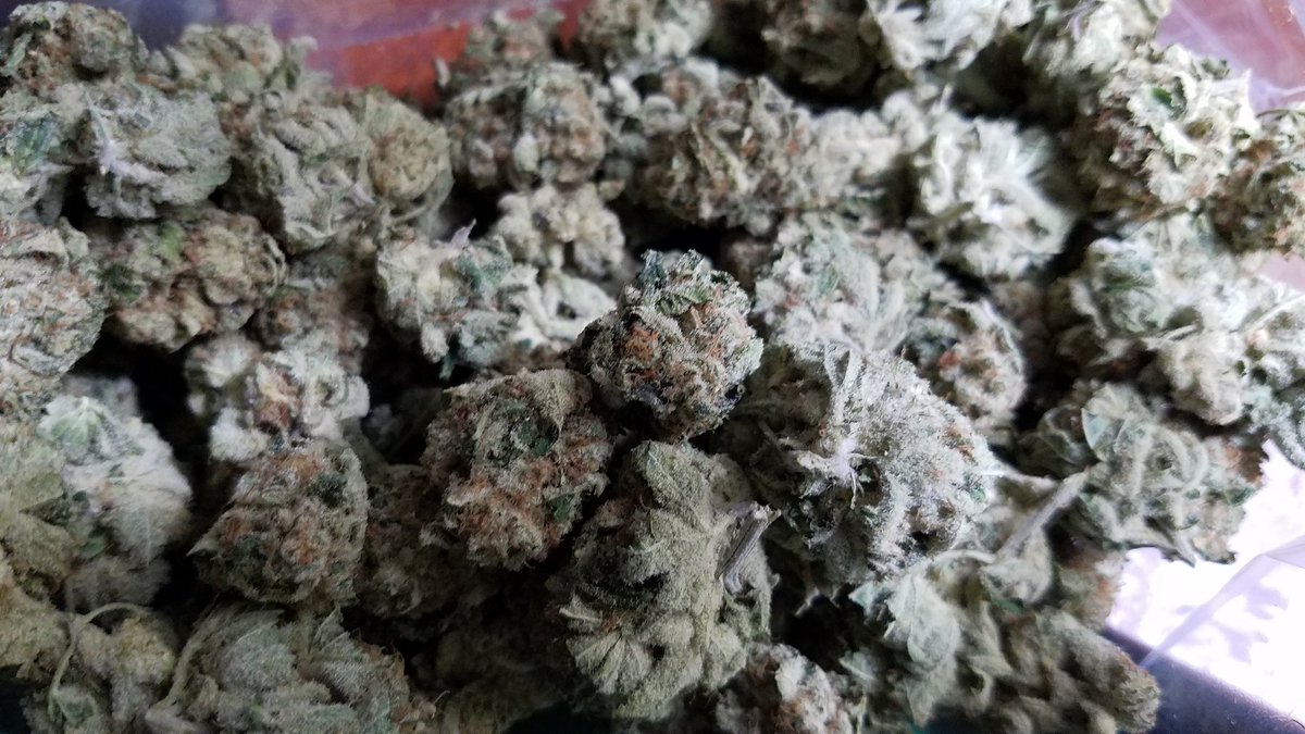 Headband dropped off by a friend of mine....going to get very smoky here! 🍁🍁🔥🔥💨💨💨 #Mmemberville #StonerFam #CannabisCommunity #headband #supportlocalgrowers