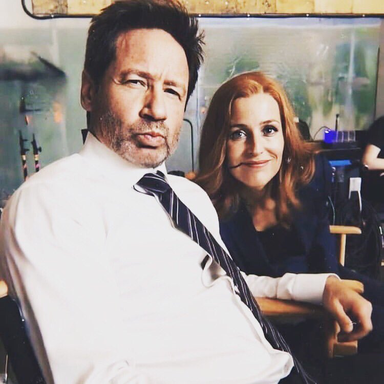 Mulder Fox (@mulder_x_fox) on Twitter photo 