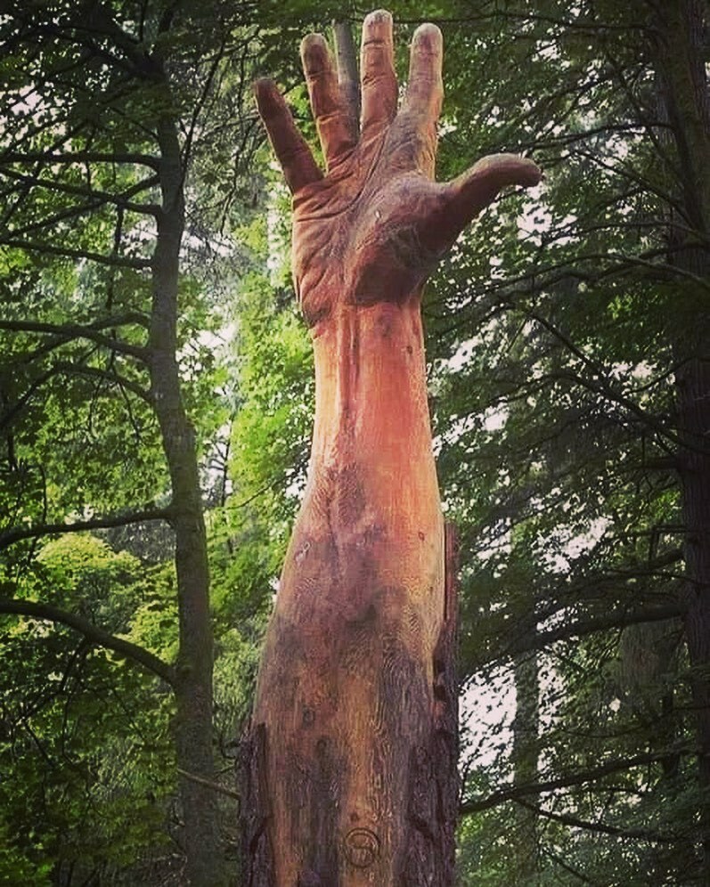 How amazing is this Cedar tree carving! What does it speak to you? ⁣
.⁣
.⁣
.⁣
.⁣
.⁣
#instagood #instagarden #flowerpower #selfesteem #mindfulnessmeditation #greennature #love #trees #mygarden #beautiful #flowerpic #flora #tree #gardening #naturep… instagr.am/p/CQl-OqZlWaE/
