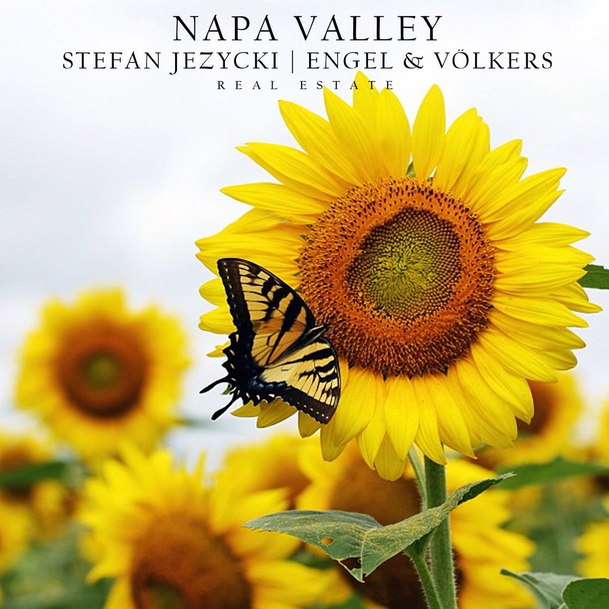 stefancj's tweet photo. Napa Valley. Life.
https://t.co/v4r1zsNRYm
https://t.co/758LorBEHt
#napavalley #napavalleyrealestate #napa #naparealestate #winecountry 
Posted by Surf | https://t.co/owbTn8YbYN https://t.co/Jg1y6ygLks