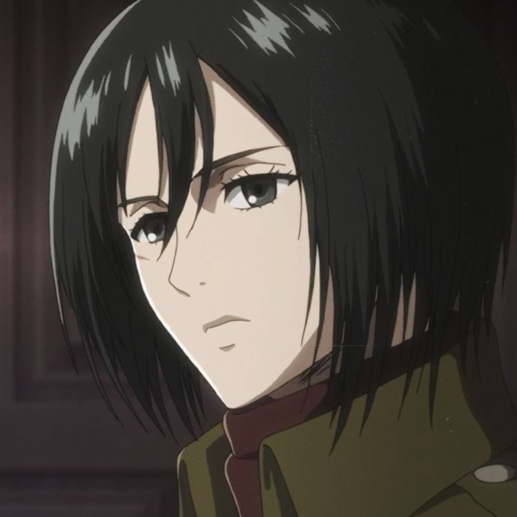 hourly mikasa (@hourlymikasa) on Twitter photo 