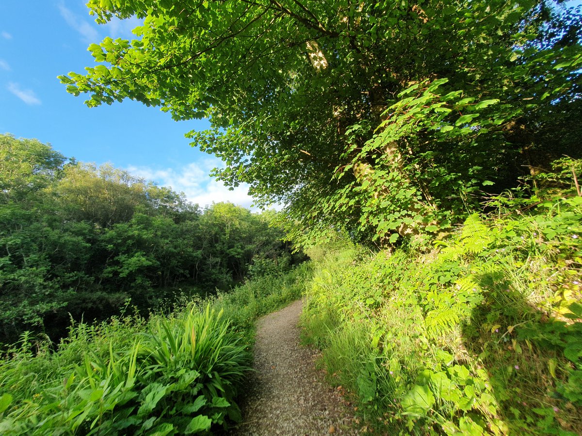 lyn_foley's tweet photo. #duffriverwalk #riverduffwalk #leitrim #Sligo #Ireland #WildAtlanticWay https://t.co/14hAWXFlMj