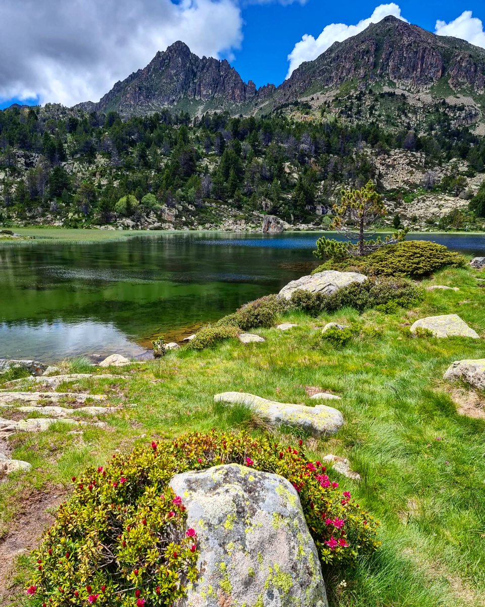 ricardrigall's tweet photo. Pessons. #pessons #estanysdepessons #grauroig #encamp #andorra #bicicleta #gravel #estiu2021 https://t.co/G6mW2XaM7X
