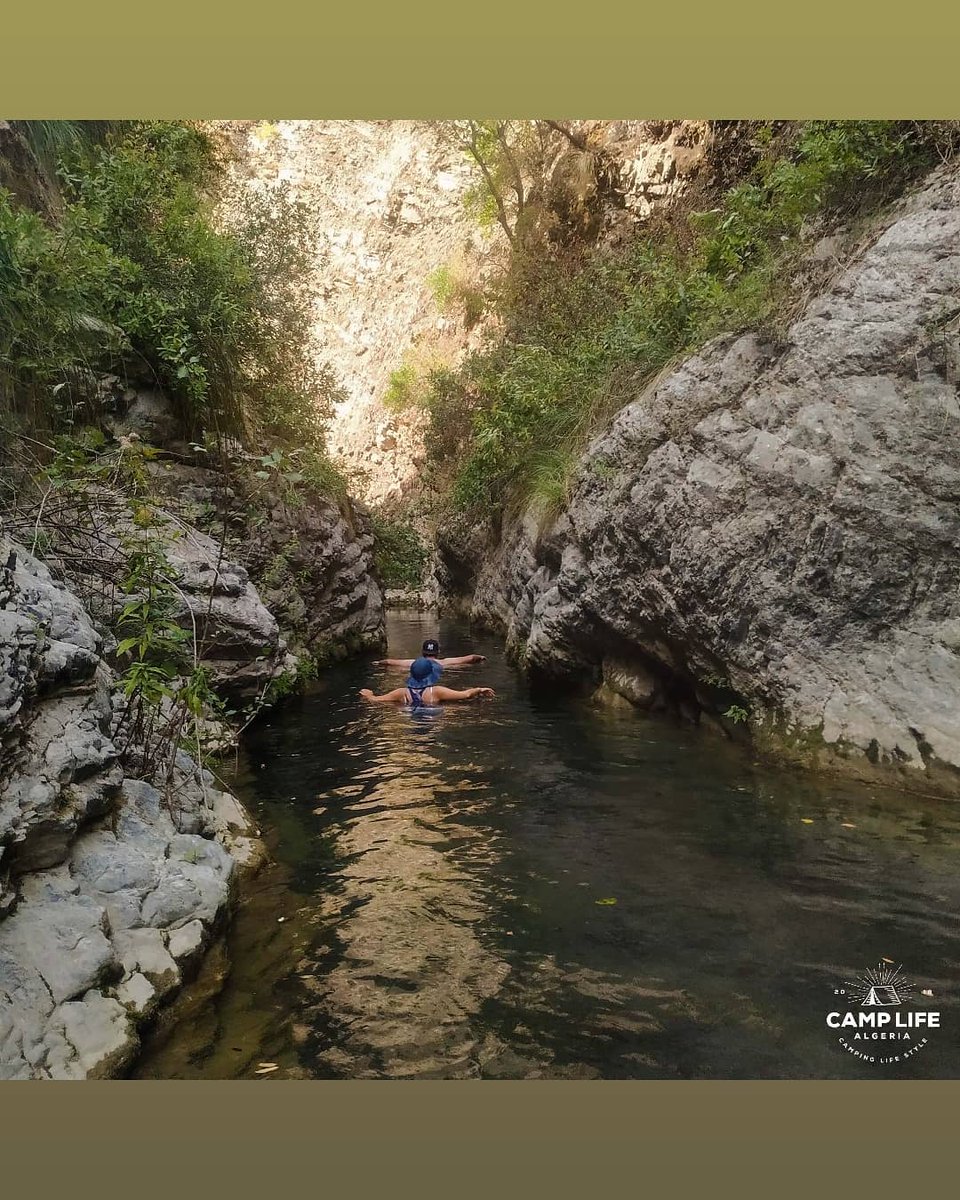 CampLifeAlgeria's tweet photo. @camplife_algeria explore more your country 🇩🇿😍👣
#camplifealgeria #oued_afra #djijel #beautifulalgeria️ #canyoning #adventurelife https://t.co/4Y1qSMvFJW