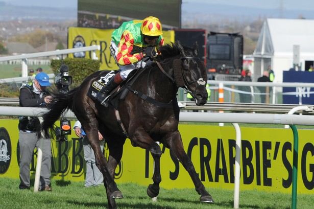 SaintAre_Horse's tweet photo. Absolutely gutting to hear of Arnies passing💔 he had a wonderful career in racing with and a fantastic second career too in the show ring . Fly high champ, gallop free 😢🐎 https://t.co/szB0NgRSjo