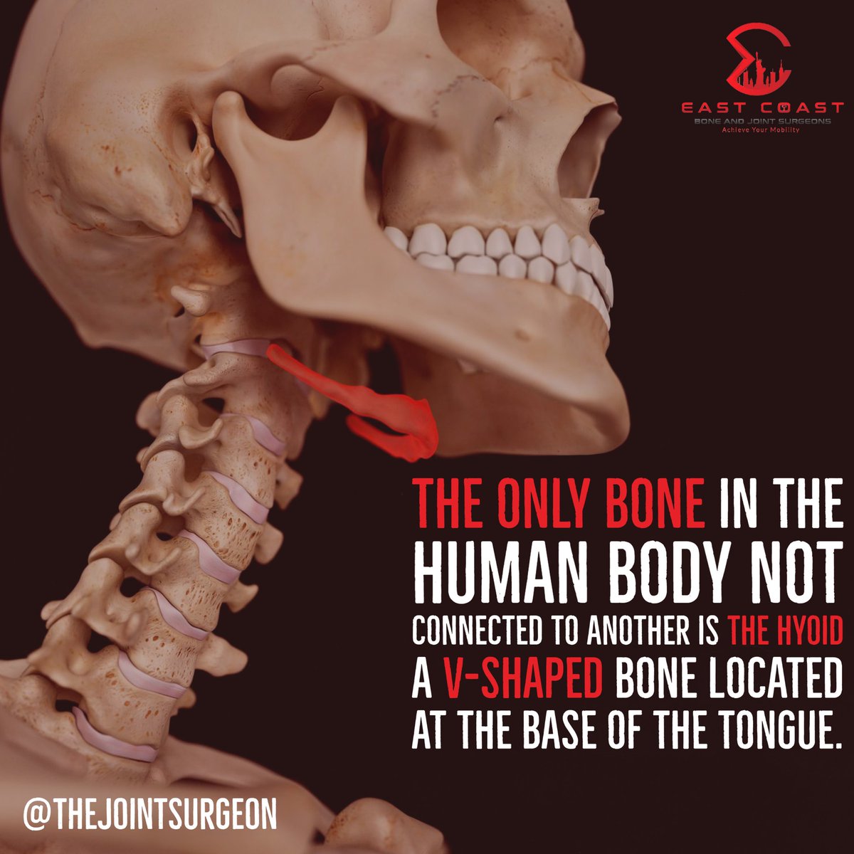 seanthompsonmd's tweet photo. New #bonefact for the weekend! π§ π§
#orthotwitter #ortho #ortholife https://t.co/26UMzH4i4p