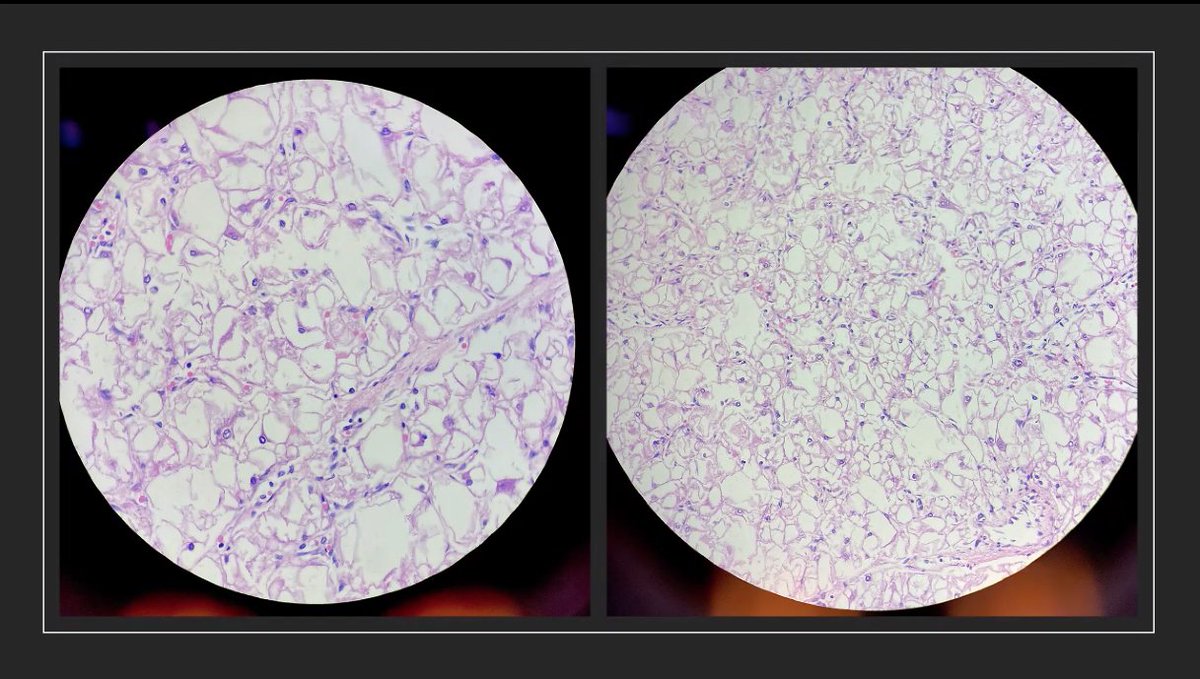 Emmanuelle Chung tweet media