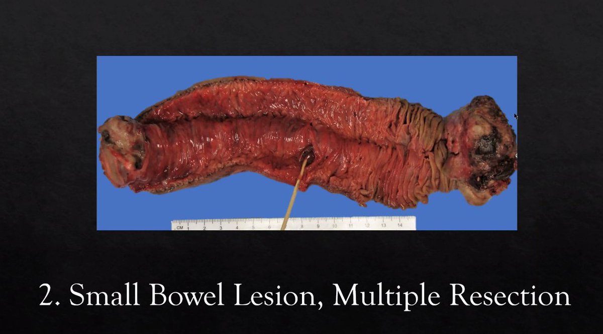 Emmanuelle Chung tweet media