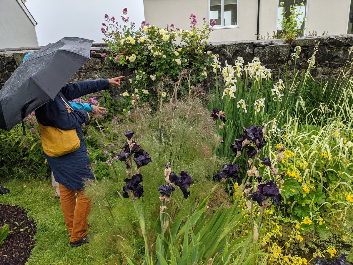 54point9's tweet photo. Quite fantastic gardens in #Craster today, opened as part of @NGSNorthumberl1 . As good as any I have seen. It was wet and windy but those gardens brightened up my day. https://t.co/NMLr0IvDDf