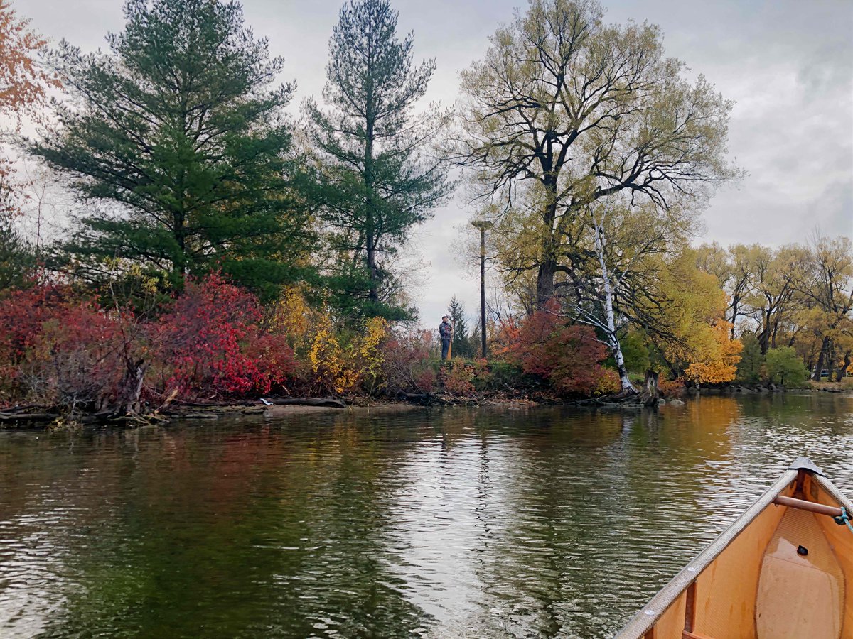 CndnCanoeMuseum's tweet photo. A special #CanoeView from the Little Lake waterfront in #PTBO!
"You can’t choose a new home for a 🛶 museum without first understanding how it feels to approach from a #canoe. As I paddled, it became clear this site will make a perfect home for the CCM!"
📸 by: @carolyncanoe https://t.co/CzJutgL0G8