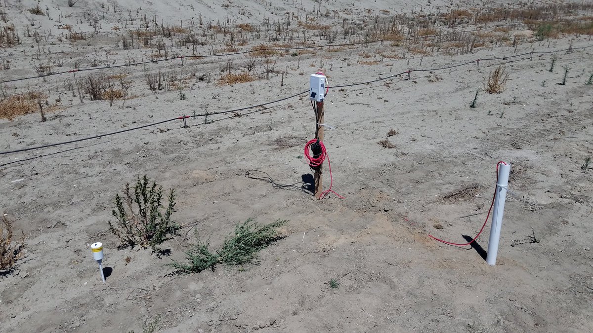 CraigUlrich2's tweet photo. ....soil moisture sensors, etc to monitor two basins that we will flood individually to monitor over several days. We are using geophysics to solve real world problems.....finding ways to understand and optimize aquifer recharge in a water stressed environment! #LBL #FloodMAR https://t.co/0hYyy2gxSw