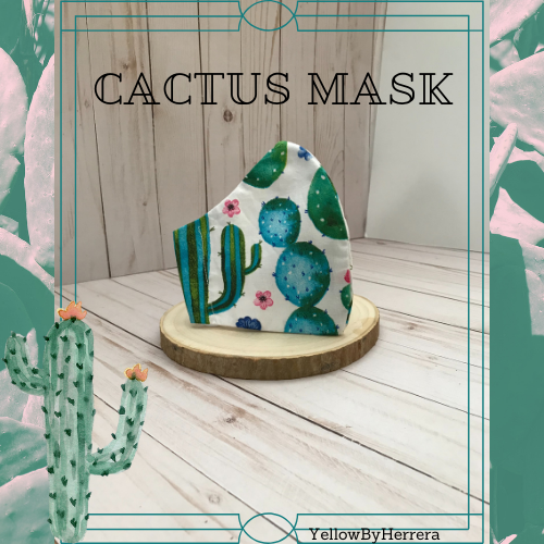 YellowbyH's tweet photo. Fun Fact: The cactus can live for over a year without rain!

https://t.co/8DslkcbIng https://t.co/2ZaSnayP5g