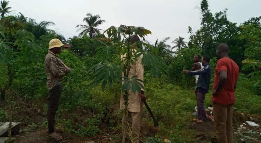 ModelAdura's tweet photo. Farmers ageing, new generations disinterested! Who will then grow our food?

#advicfarms #Privateextension #Agribusiness #Empowerment https://t.co/CPZFmdZw2P