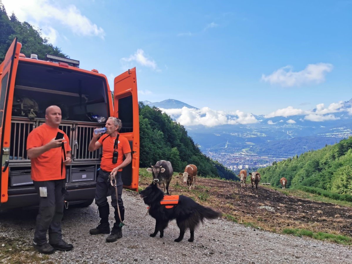 reddingshonden's tweet photo. Vandaag de 2e zoekdag. Opnieuw zoeken onze honden in #Innsbruck #Oostenrijk naar de 19-jarige vermiste Radi uit #Zeist. Verslag van de dag: https://t.co/pmcNuQnRbH
#SamenStaanWeSterk #RHWW #reddingshonden https://t.co/nA3R2YRfF0