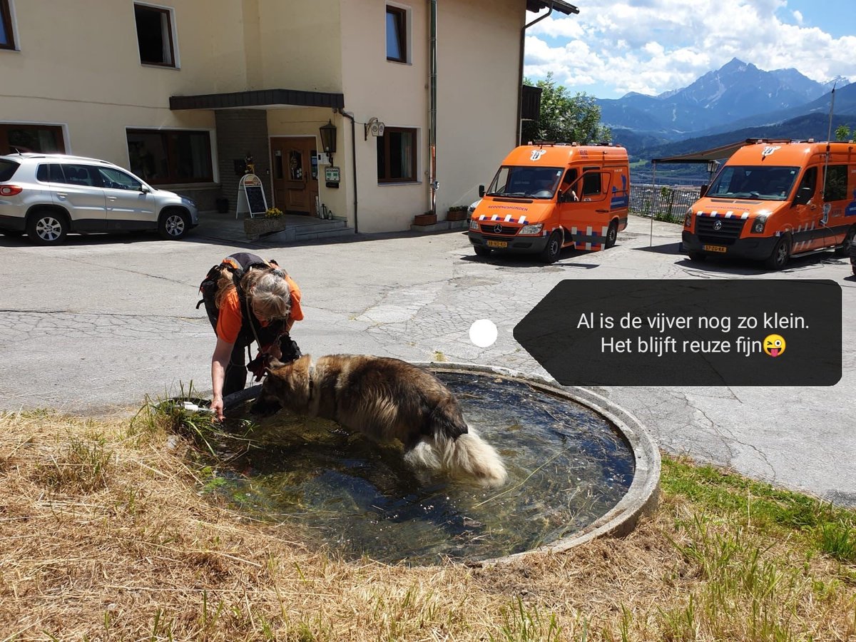 reddingshonden's tweet photo. Vandaag de 2e zoekdag. Opnieuw zoeken onze honden in #Innsbruck #Oostenrijk naar de 19-jarige vermiste Radi uit #Zeist. Verslag van de dag: https://t.co/pmcNuQnRbH
#SamenStaanWeSterk #RHWW #reddingshonden https://t.co/nA3R2YRfF0