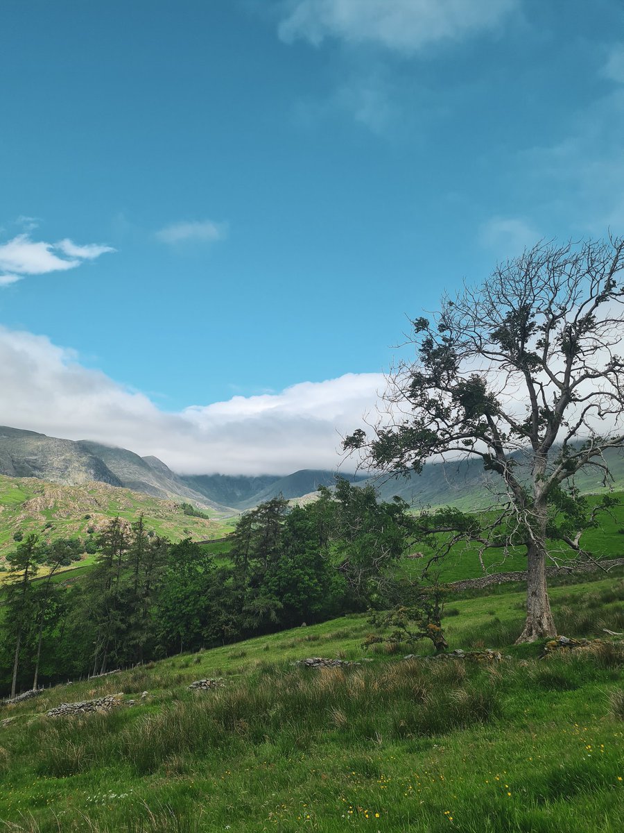 Dan Bell tweet media