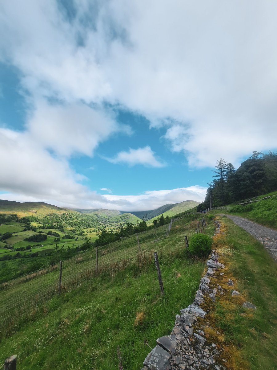 Dan Bell tweet media