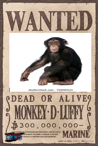 Emoanaida's tweet photo. #MonosLindos se busca a l mono https://t.co/0nnzhHWyCe