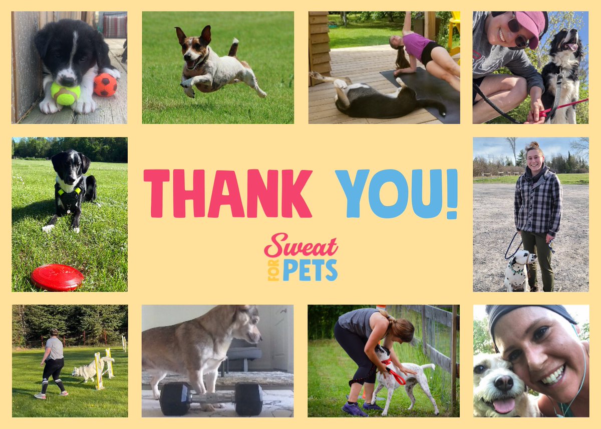 OntarioSPCA's tweet photo. #ICYMI Our five-week #SweatforPets campaign has come to an end + we hope you’ve enjoyed getting active for a good cause! As of yesterday, more than $50,000 was raised by over 300 participants to support animals in need across Ontario! Thank you. 🐾 ❤️ https://t.co/3eUf6HZnvP https://t.co/yjnYd4KeUW